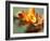 Open Sunshine III-Jonathan Nourock-Framed Photographic Print