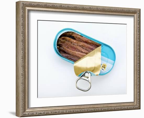 Open Tin of Anchovy Fillets-Paul Rapson-Framed Photographic Print