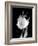 Open Tulip-Jeff Pica-Framed Photographic Print