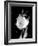 Open Tulip-Jeff Pica-Framed Photographic Print