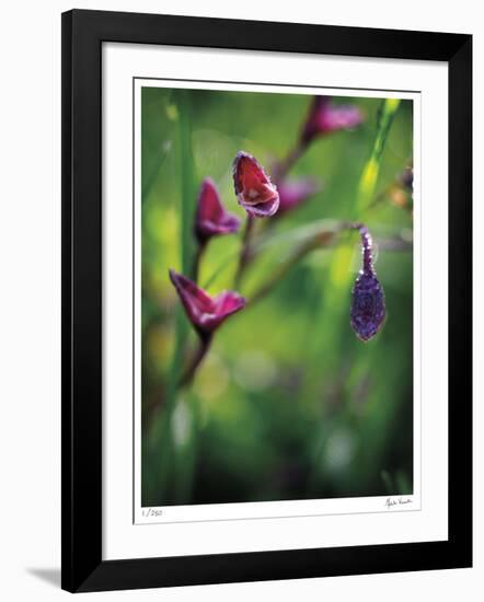 Open Up-Michelle Wermuth-Framed Giclee Print