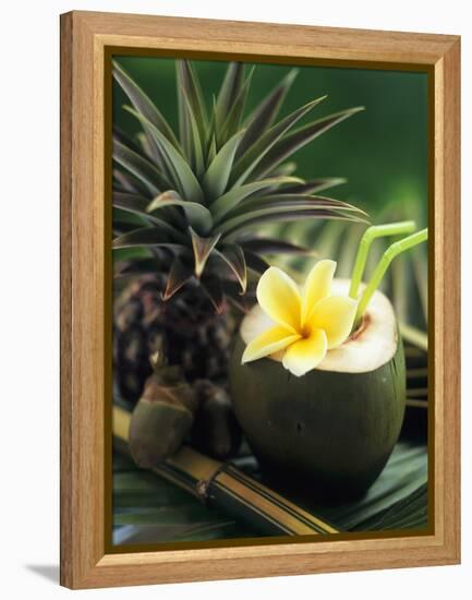 Opened Coconut with Straws and a Pineapple-Vladimir Shulevsky-Framed Premier Image Canvas