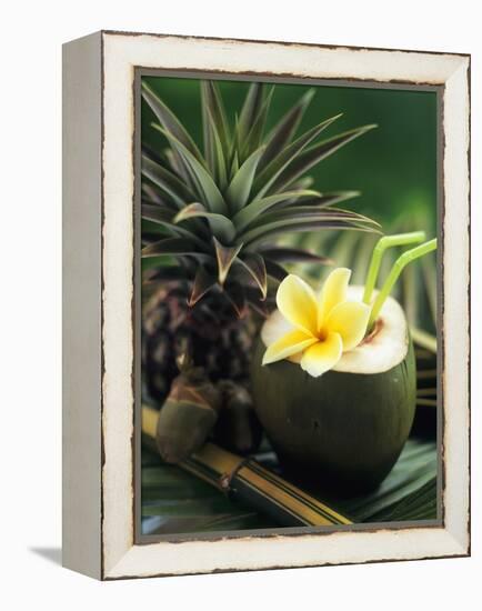 Opened Coconut with Straws and a Pineapple-Vladimir Shulevsky-Framed Premier Image Canvas