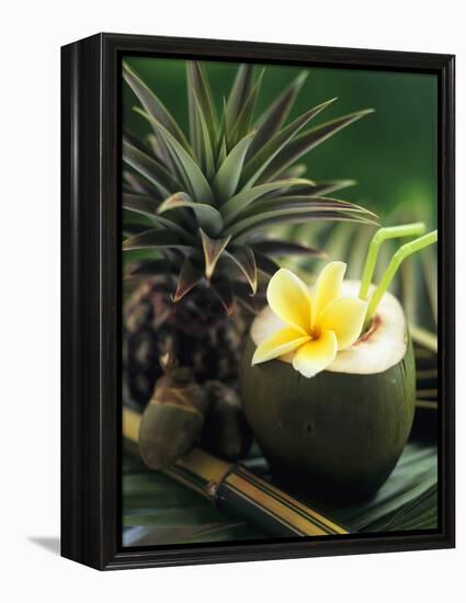 Opened Coconut with Straws and a Pineapple-Vladimir Shulevsky-Framed Premier Image Canvas