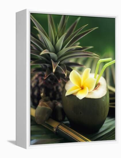 Opened Coconut with Straws and a Pineapple-Vladimir Shulevsky-Framed Premier Image Canvas