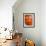 Opened Orange Tulip-Katano Nicole-Framed Photo displayed on a wall