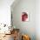 Opened Pomegranate, Close-Up-Dieter Heinemann-Photographic Print displayed on a wall