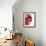 Opened Pomegranate, Close-Up-Dieter Heinemann-Framed Photographic Print displayed on a wall