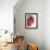 Opened Pomegranate, Close-Up-Dieter Heinemann-Framed Photographic Print displayed on a wall