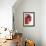 Opened Pomegranate, Close-Up-Dieter Heinemann-Framed Photographic Print displayed on a wall