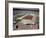 Opening Ceremonies Taking Place at the 19th Summer Olympics-null-Framed Photographic Print