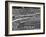 Opening Ceremony of Us Team at Olympics-null-Framed Photographic Print