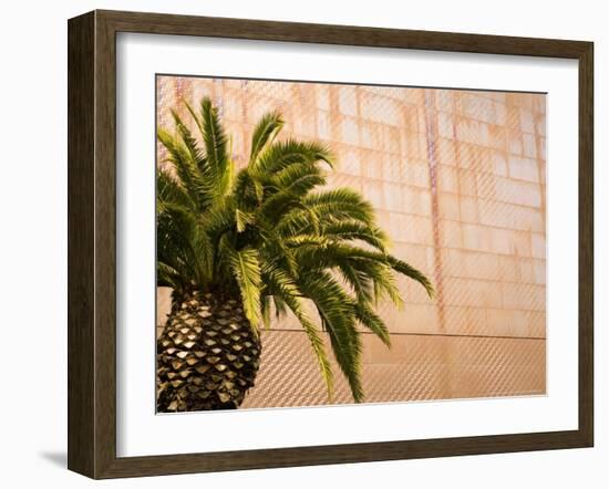 Opening Day, New deYoung Museum, San Francisco, California, USA-Michele Westmorland-Framed Photographic Print