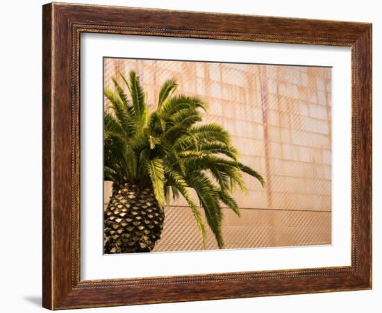 Opening Day, New deYoung Museum, San Francisco, California, USA-Michele Westmorland-Framed Photographic Print