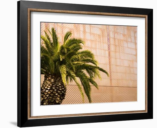 Opening Day, New deYoung Museum, San Francisco, California, USA-Michele Westmorland-Framed Photographic Print