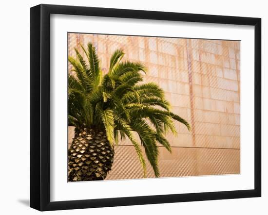 Opening Day, New deYoung Museum, San Francisco, California, USA-Michele Westmorland-Framed Photographic Print