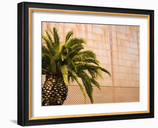 Opening Day, New deYoung Museum, San Francisco, California, USA-Michele Westmorland-Framed Photographic Print