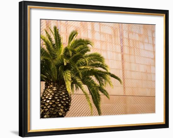 Opening Day, New deYoung Museum, San Francisco, California, USA-Michele Westmorland-Framed Photographic Print