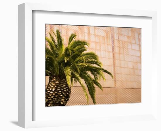 Opening Day, New deYoung Museum, San Francisco, California, USA-Michele Westmorland-Framed Photographic Print