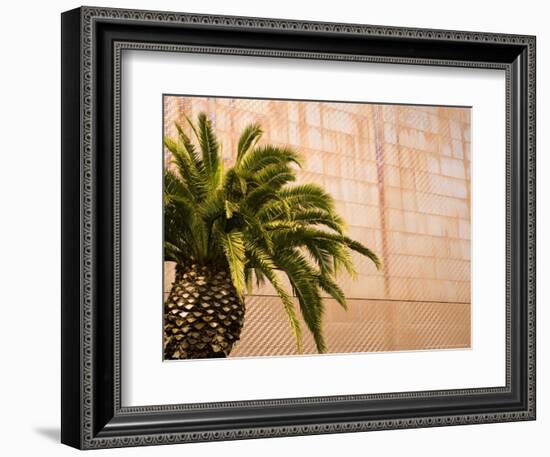 Opening Day, New deYoung Museum, San Francisco, California, USA-Michele Westmorland-Framed Photographic Print