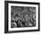 Opening Day of Baseball, Crowd Watching as Ball Flies Overhead-Francis Miller-Framed Photographic Print