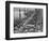 Opening of the Sydney Harbour Bridge-null-Framed Photographic Print