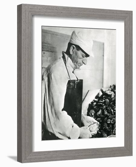 Opening Oysters 1930s-null-Framed Photographic Print