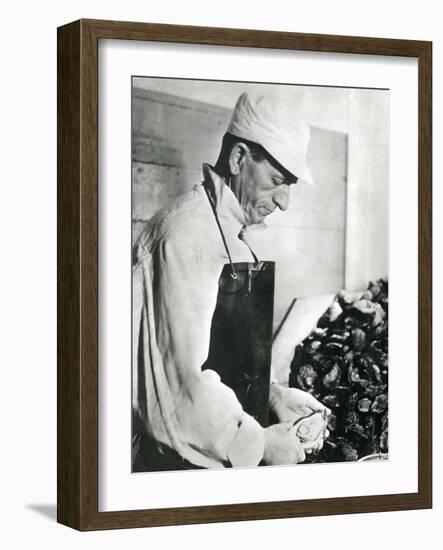 Opening Oysters 1930s-null-Framed Photographic Print