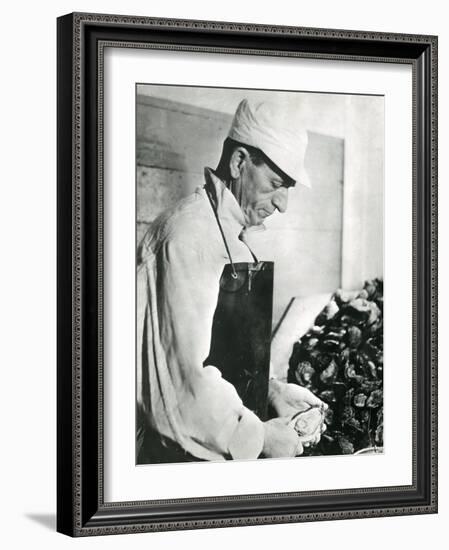 Opening Oysters 1930s-null-Framed Photographic Print