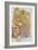 Opening Words of St Matthew's Gospel Liber Generationes, from the Book of Kells, C800-null-Framed Premium Giclee Print