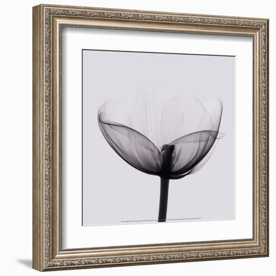 Opening-Marianne Haas-Framed Art Print