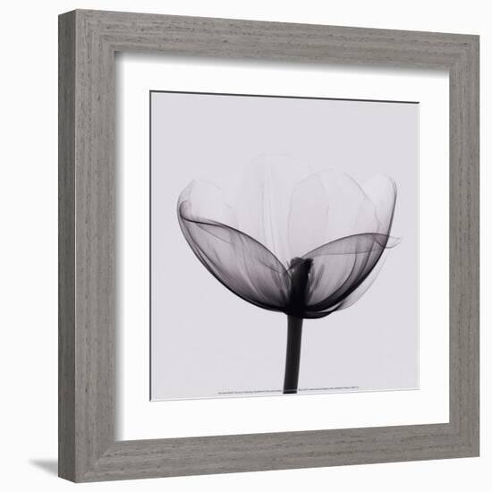 Opening-Marianne Haas-Framed Art Print