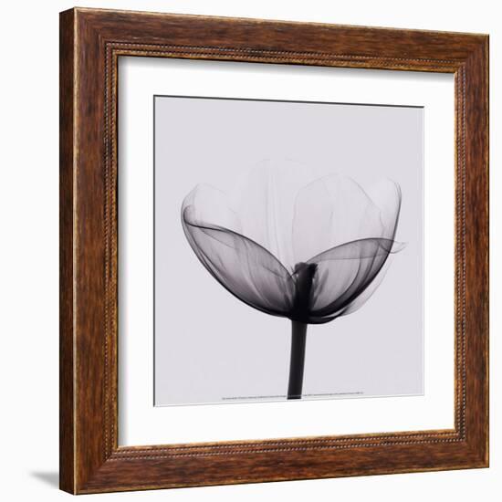 Opening-Marianne Haas-Framed Art Print