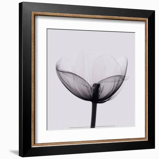 Opening-Marianne Haas-Framed Art Print