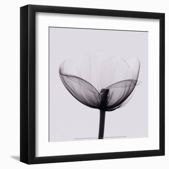 Opening-Marianne Haas-Framed Art Print