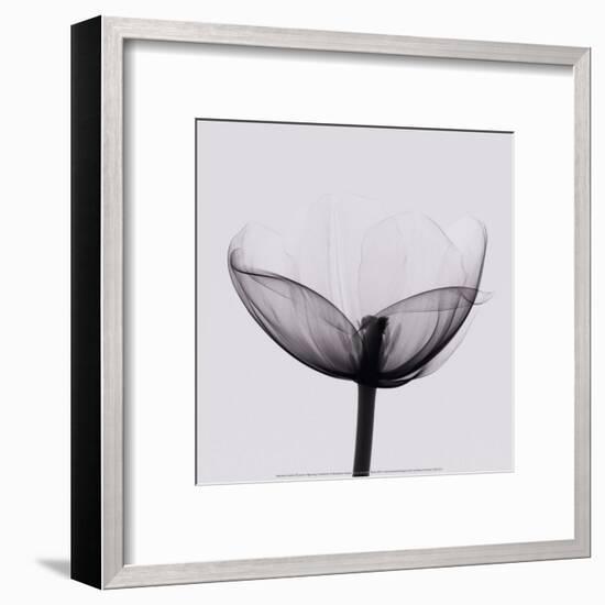 Opening-Marianne Haas-Framed Art Print