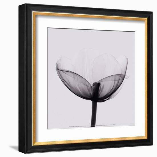 Opening-Marianne Haas-Framed Art Print