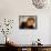 Opera Diva, Soprano Renee Fleming-Ted Thai-Framed Premier Image Canvas displayed on a wall