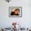 Opera Diva, Soprano Renee Fleming-Ted Thai-Framed Premium Photographic Print displayed on a wall