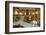 Opera Garnier, Grand Staircase, Paris, France-G & M Therin-Weise-Framed Photographic Print