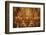 Opera Garnier in France Paris Tourist Destination-kentoh-Framed Photographic Print