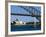 Opera House and Harbour Bridge, Sydney, Australia-Fraser Hall-Framed Photographic Print