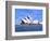 Opera House Close-up, Sydney, Australia-Bill Bachmann-Framed Photographic Print