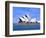 Opera House Close-up, Sydney, Australia-Bill Bachmann-Framed Photographic Print