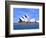 Opera House Close-up, Sydney, Australia-Bill Bachmann-Framed Photographic Print