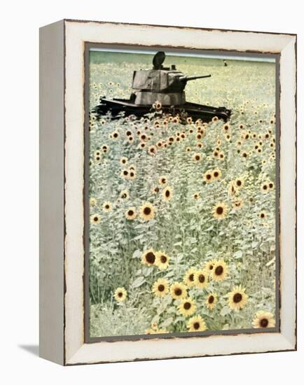 Operation Barbarossa, 1942-German photographer-Framed Premier Image Canvas