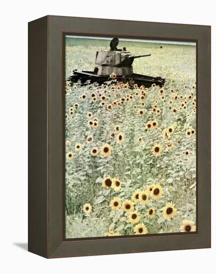 Operation Barbarossa, 1942-German photographer-Framed Premier Image Canvas