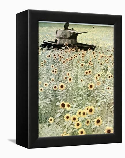 Operation Barbarossa, 1942-German photographer-Framed Premier Image Canvas