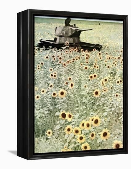 Operation Barbarossa, 1942-German photographer-Framed Premier Image Canvas