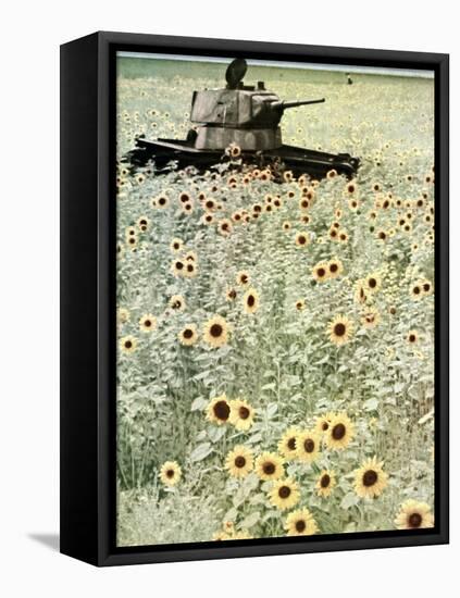 Operation Barbarossa, 1942-German photographer-Framed Premier Image Canvas